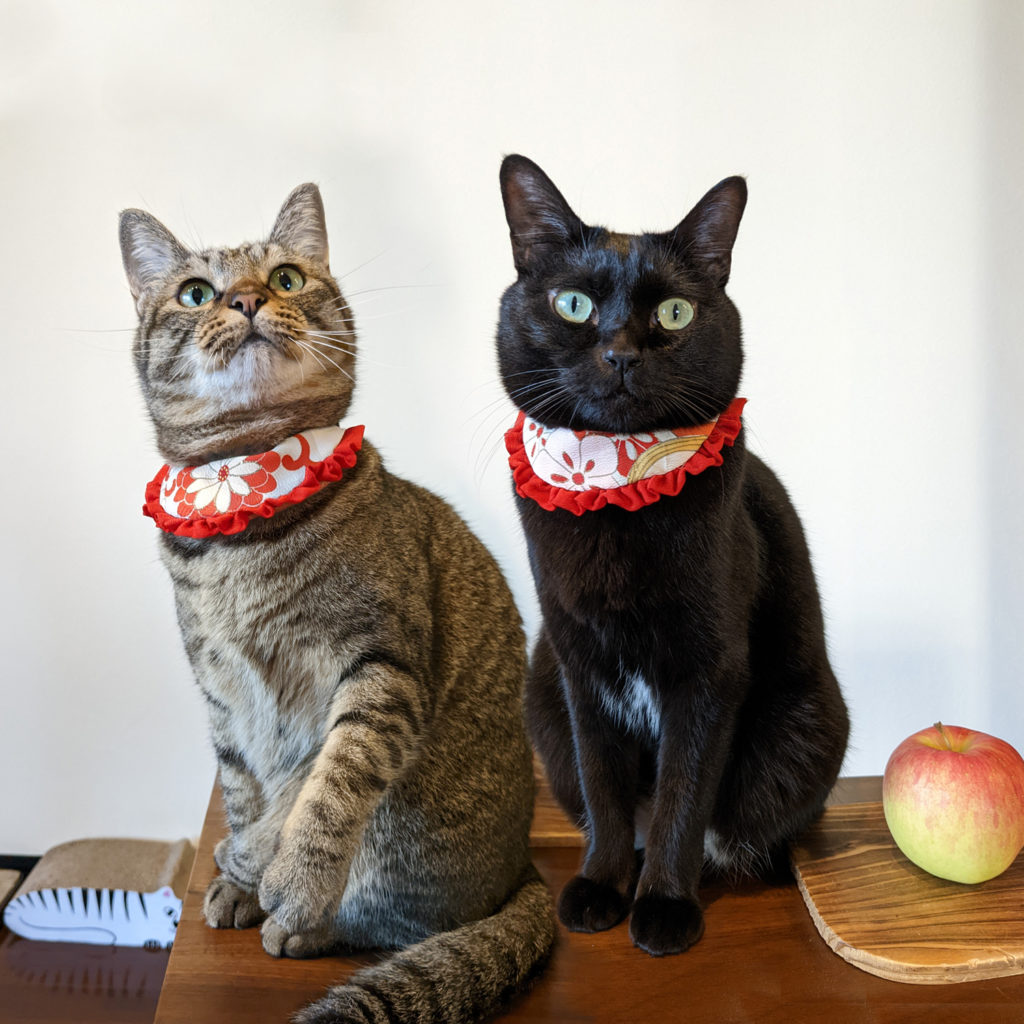 ネコノテ堂｜NEKONOTE Handmade Shop | Pet collars made of Japanese 